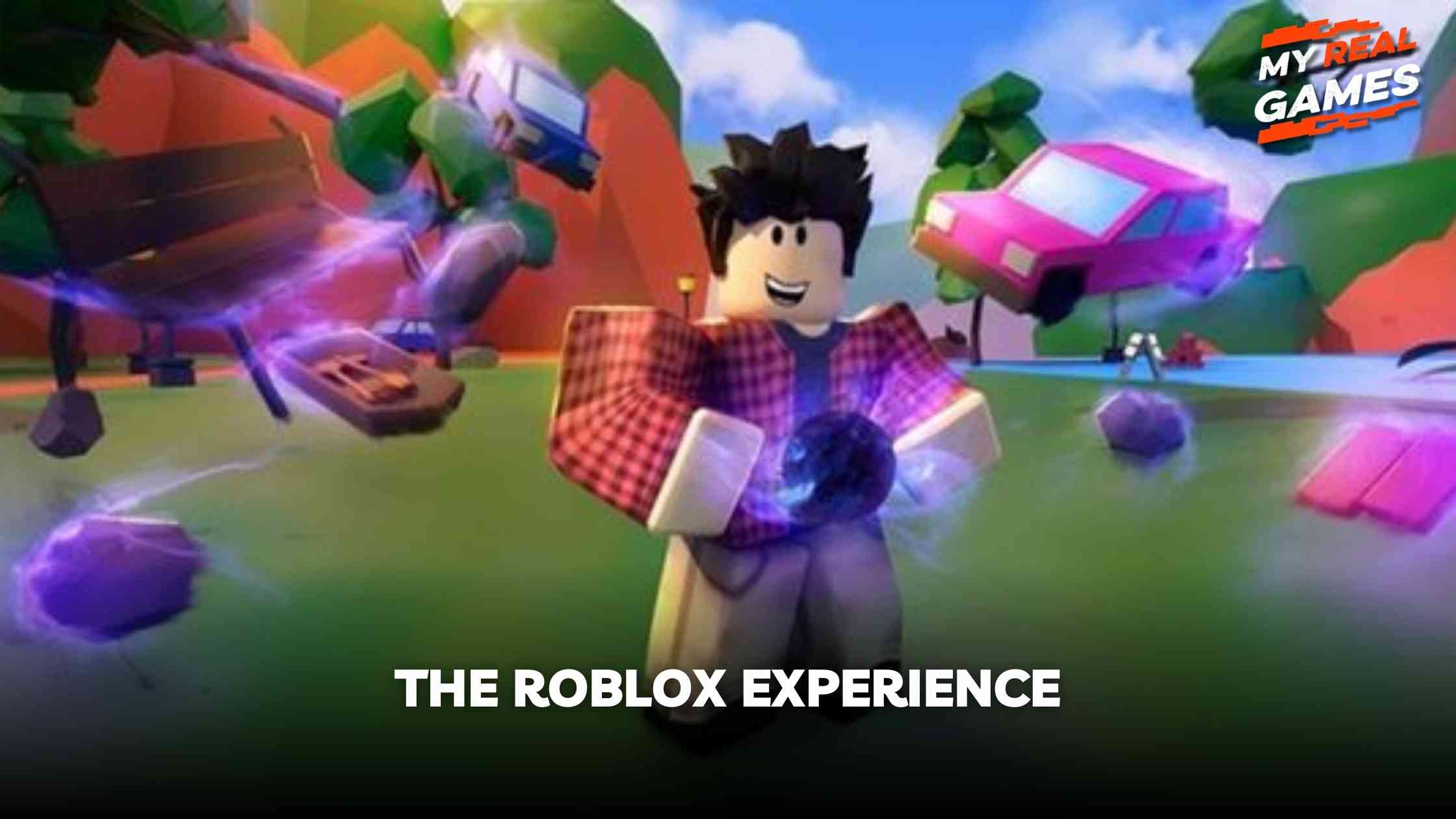 The Roblox Experience