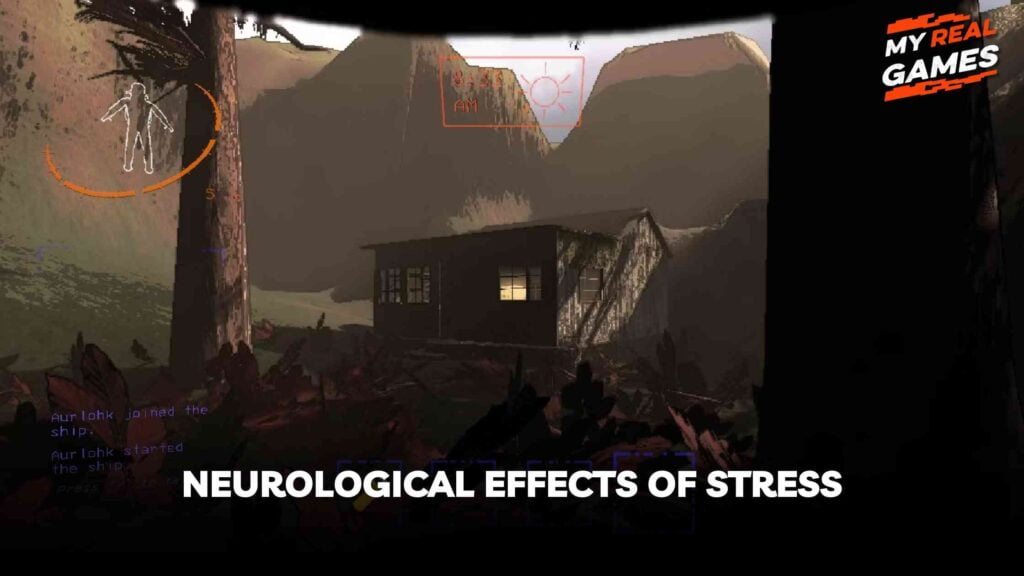 Neurological Effects of Stress