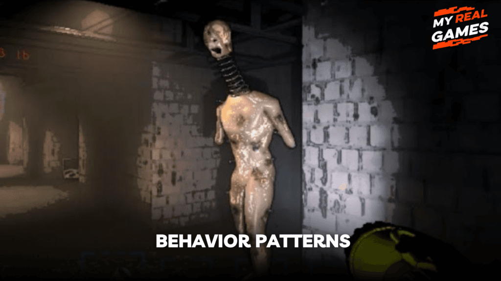 Behavior Patterns (2)