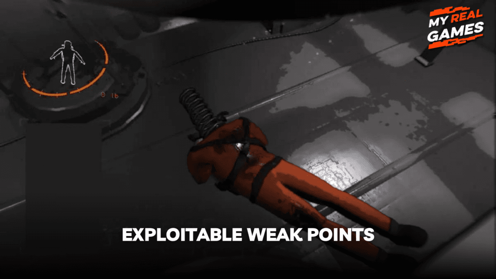 Exploitable Weak Points