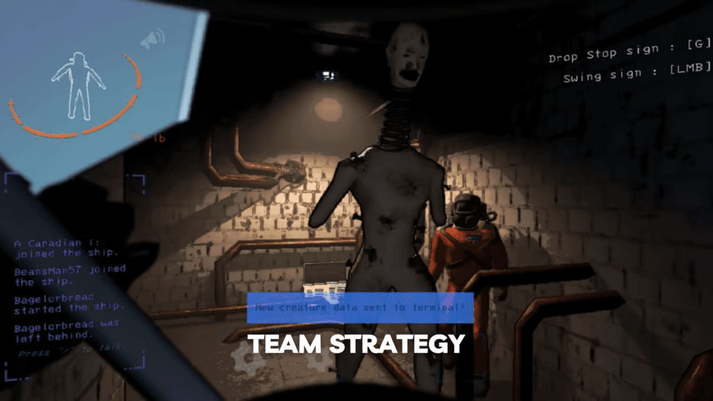 Team Strategy